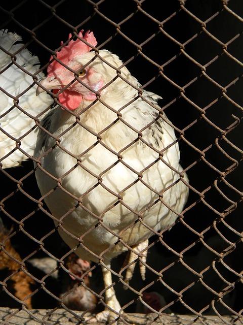 望与梦想 望与梦想