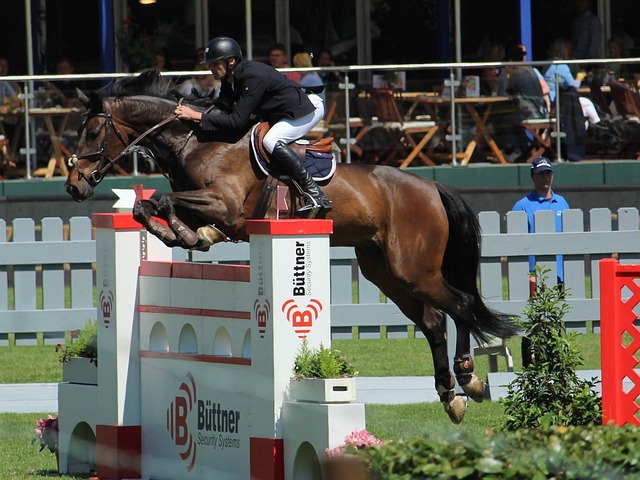 取得了領先 取得了領先