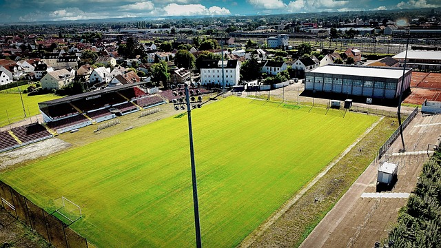 德里奇的经 德里奇的经