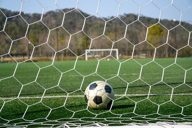 形成了全面 形成了全面