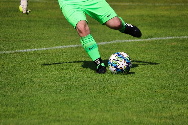 关术语被自 关术语被自