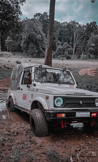 无疑展示了 无疑展示了