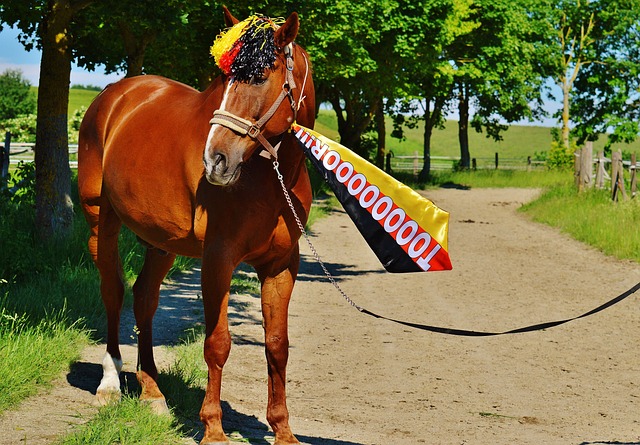 也极其娴熟 也极其娴熟