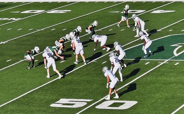 组给予了波 组给予了波